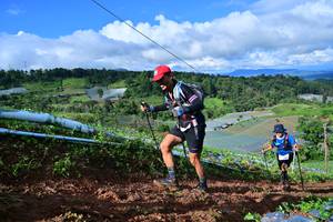 BIB: 
                            <button type="button" onclick="openModal(13380817)" class="btn btn-primary btn-sm float-right btn-popup" data-toggle="modal" data-target=".modal-high-quality">
                        <i class="fas fa-shopping-cart"></i> Add to Cart
                    </button>
                                            <button type="button" onclick="isThisMe(13380817, true)" class="btn btn-success btn-sm float-right btn-popup btn-isme hidden" data-toggle="tooltip" data-placement="bottom" title="นี่คือรูปของคุณใช่ไหม คลิกที่นี่เพื่อเอาเข้าอัลบั้ม">
                        <i class="fas fa-plus"></i> Add to album
                    </button>
                    <button type="button" onclick="isThisMe(13380817, false)" class="btn btn-warning btn-sm float-right btn-popup btn-isnotme hidden">
                        <i class="fas fa-ban"></i> Remove from album
                    </button>